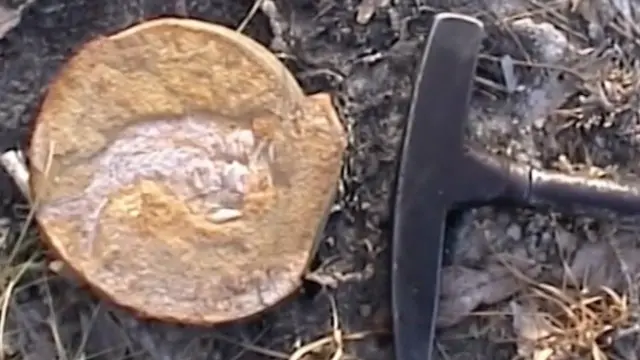 ኣብ ኣውስትራልያ ተዓቂቡ ዝተረኸበ