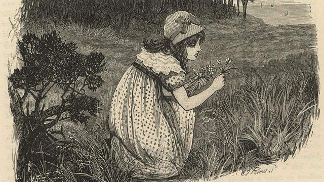 Mary Fairfax Somerville em um campo de flores