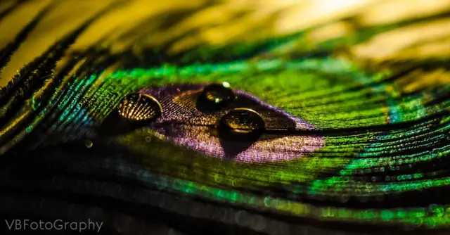 நீரும், நானும்: பிபிசி தமிழ் வாசகர்களின் புகைப்படத் தொகுப்பு