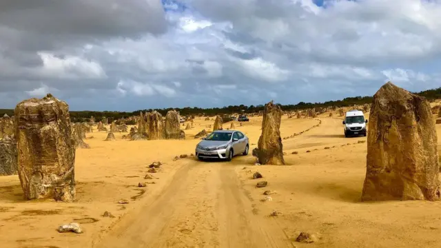 Il y a beaucoup à voir près du lac Thetis et du lac Clifton, y compris le parc national de Nambung