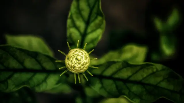 நவீன்ராஜ், சேலம்