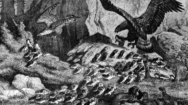 Una ilustración de ratones de Noruega lanzándose por un barranco