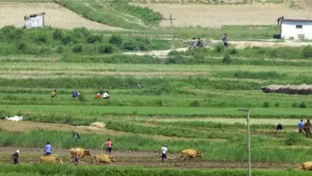 নাগরিকদের বিনামূল্যে শ্রমও দিতে হয়