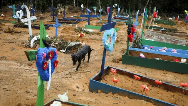 Cachorro andajogo do tigre cassinomeio a túmulosjogo do tigre cassinocemitériojogo do tigre cassinoManaus