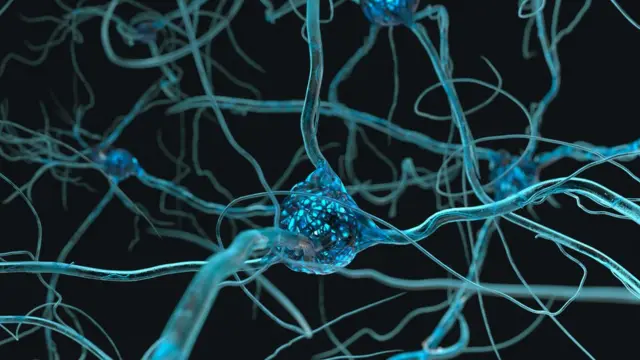 உடற்பயிற்சி