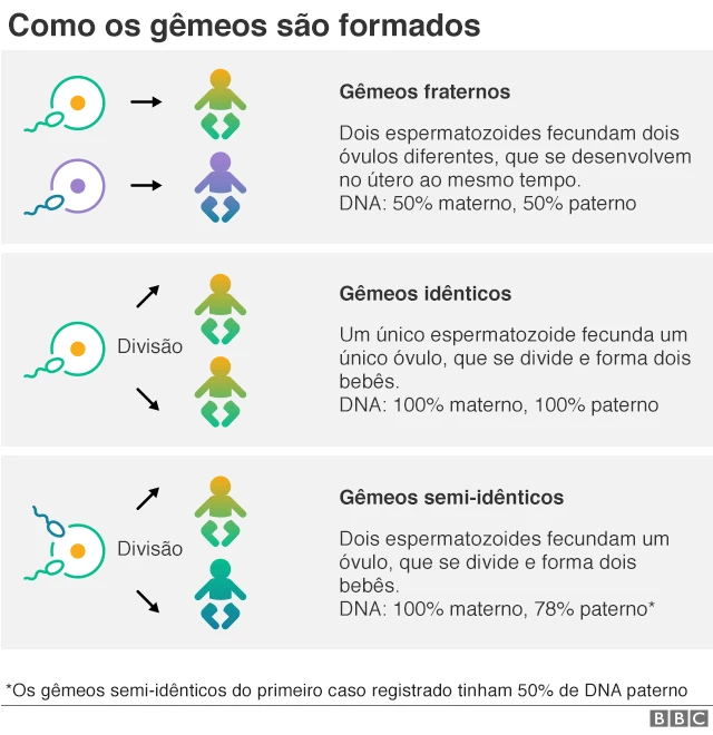 Gráfico: como os gêmeos são formados
