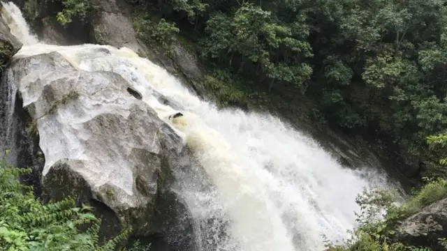 निकुञ्जको जलस्रोत उपयोगको लागि सुन्दरीजल जलविद्युत आयोजना र केयूकेएललाई प्राथमिकता दिइने भनिएको छ।