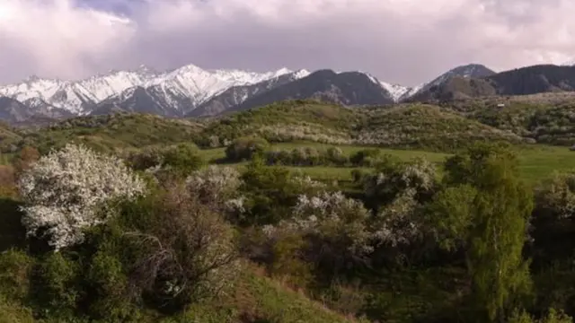 Almatının əvvəli adı 'almaların atası' mənasını verən Alma-Ata olub