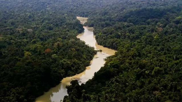 Rio Jamanxin, no Pará