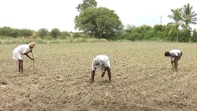 పొలంలో పని చేస్తున్న గ్రామస్థులు