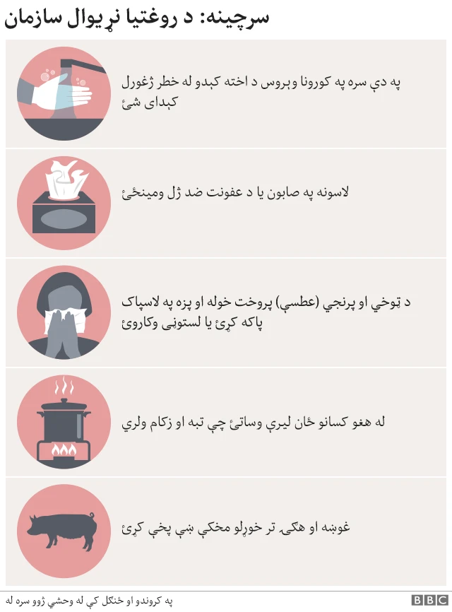 سپارښتنې