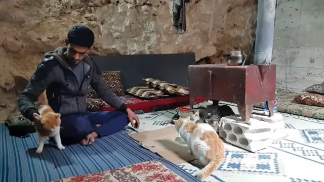 Salah's cats