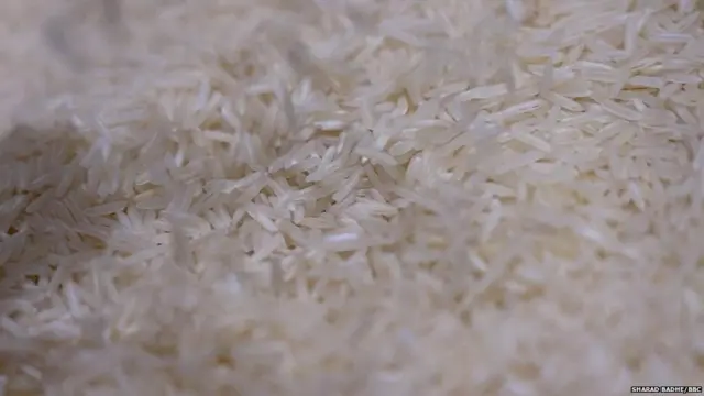 चंद्रशेखर भडसावळे यांच्या शेतातील तांदूळ.