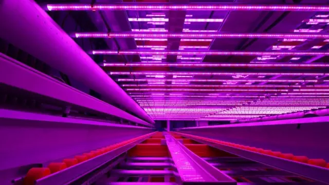 Infraestructura de una granja vertical