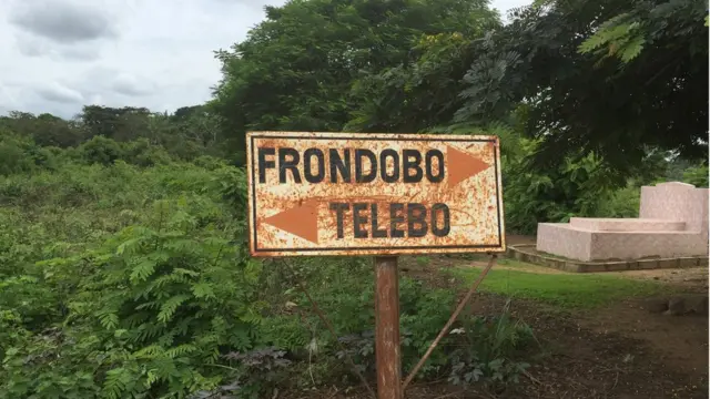 Côte d'Ivoire, rhinocéros