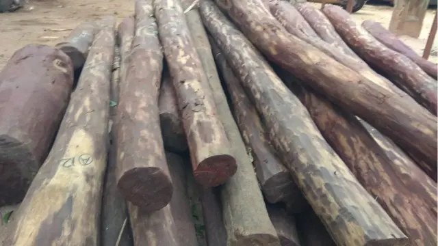 ఎర్రచందనం కలపకు విదేశాల్లో డిమాండ్ ఉంది.