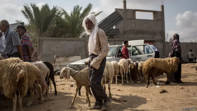 ਗਾਜ਼ਾ ਪੱਟੀ