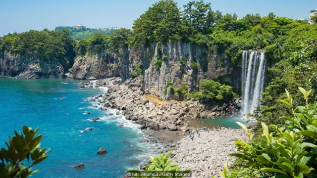 समुद्री भोजन की तलाश