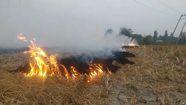 ਪਰਾਲੀ ਸਾੜਨ