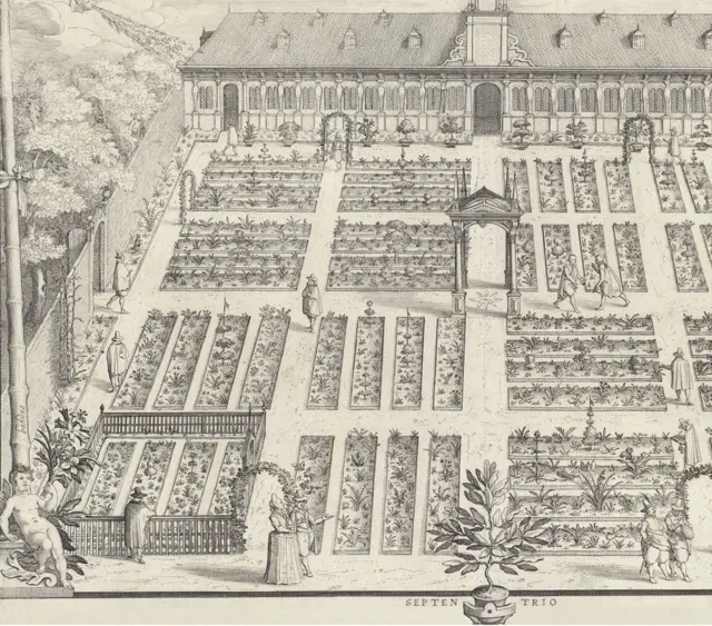 Hortus Botanicus de la Universidad de Leiden, el jardín botánico más antiguo de los Países Bajos.