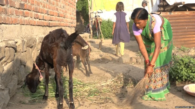 दुर्गाबाई गाडे यांच्या मुलीला डॉक्टर बनायचं आहे.