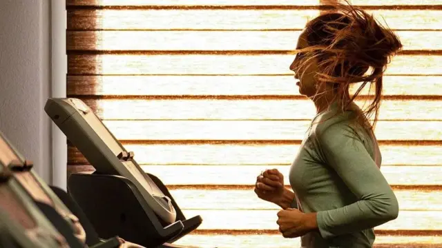 உடற்பயிற்சி