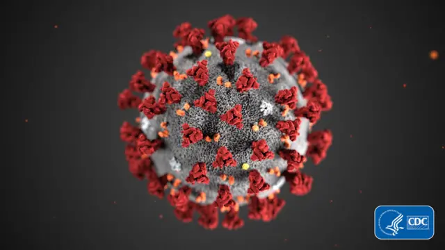 Coronavirus