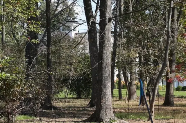 Лес вокруг дома Сороса