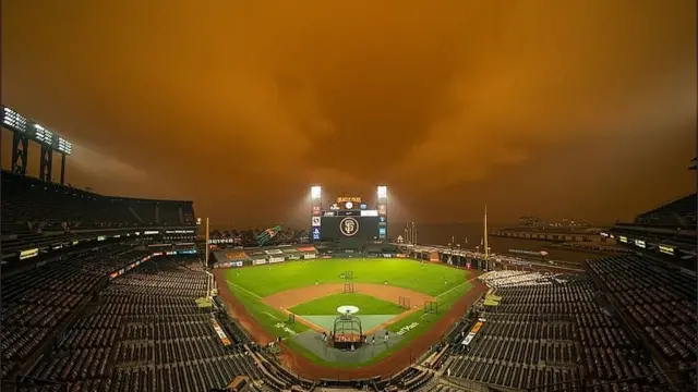 આગને કારણે રાજ્યમાં કરોડો રૂપિયાની નુકસાનીનો અંદાજ છે