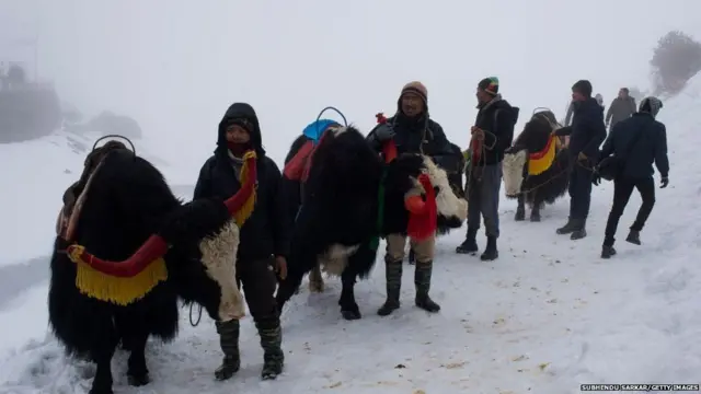 પ્રતીકાત્મક તસવીર