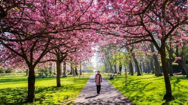 Una mujer camina por un sendero de un parque