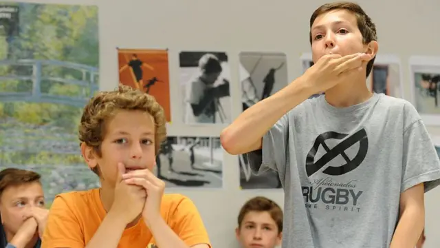 सीटी की भाषा