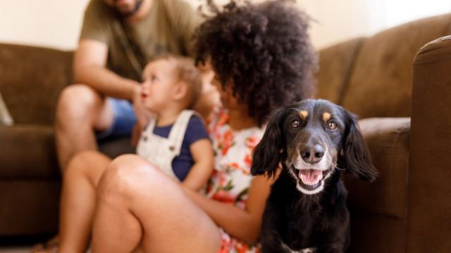 Casal com filho pequeno no sofá, e cachorro aparecendo em primeiro plano