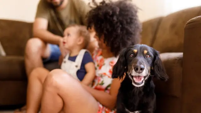 Casal com filho pequeno no sofá, e cachorro aparecendoroleta de nomes personalizadaprimeiro plano