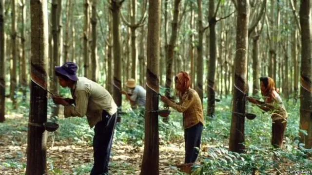 ஆணுறை டூ டயர்: ரப்பர் உற்பத்தியின் குருதியால் எழுதப்பட்ட சர்ச்சைக்குரிய வரலாறு