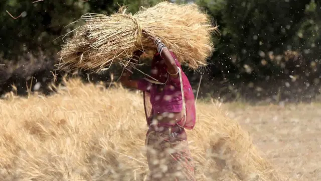 મહિલાની તસવીર