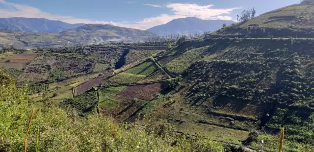 Tajriba ya Vera katika maeneo ya vijijini, ni vigumu sana kupata malalamiko ya kuhusu ubakaji kwasababu hakuna waendesha mashitaka.