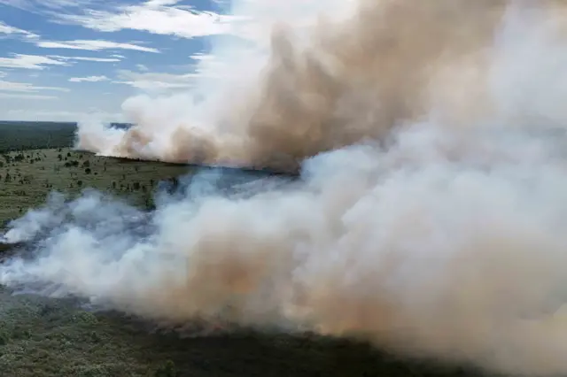 Foto udara kebakaran hutan dan lahan (karhutla) di kawasan lahan gambut Desa Deuah, Kecamatan Samatiga, Aceh Barat, Aceh, Minggu (2/8/2026). BPBD Kabupaten Aceh Barat menyatakan kebakaran hutan dan lahan (karhutla) yang terjadi sejak dua pekan terakhir terus meluas dari 14 hektar menjadi 19 hektar yang dipengaruhi cuaca panas ekstrem dan tiupan angin kencang sehingga mempercepat penguapan kadar air pada vegetasi. 