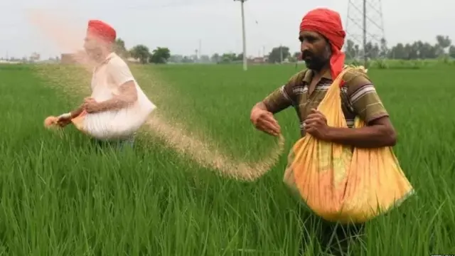 ਐੱਮਐੱਸਪੀ
