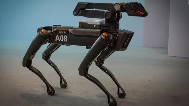 El polémico uso de perros robot por parte de la policía de Massachusetts  - BBC News Mundo