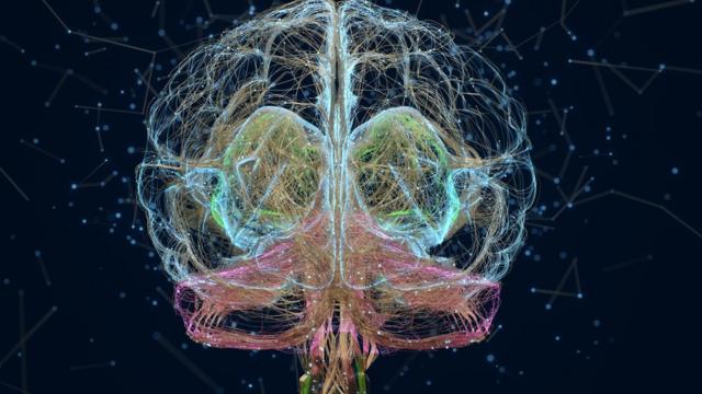 Illustration des neurones dans le cerveau