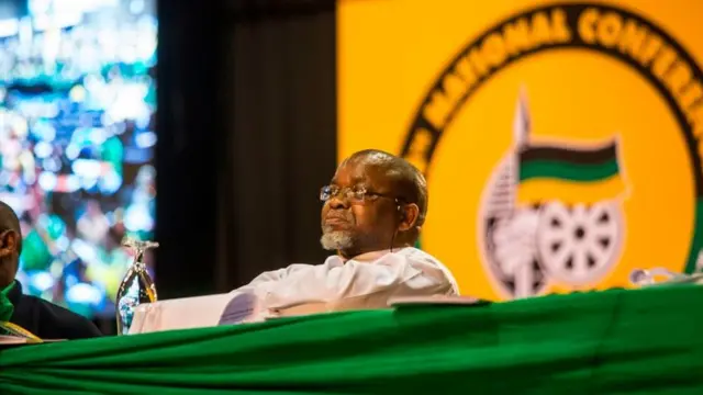 Le ministre sud-africain des mines Gwede Mantashe