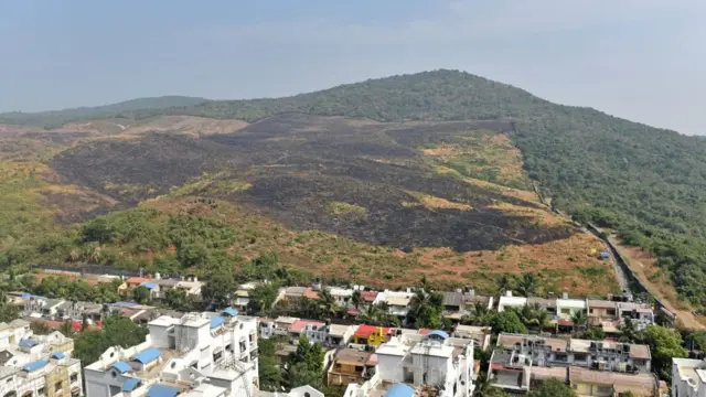 आरे कॉलनी