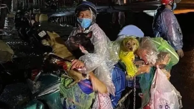 Chụp màn hình