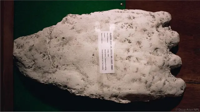 કથિત યેતીના અંગમાં પ્લાસ્ટર