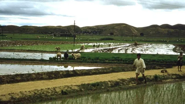 В начале 1960-х целых 72% населения Республики Корея проживало в сельской местности