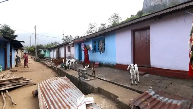 இலங்கை : பொருளாதார நெருக்கடிக்கு மத்தியில், இந்திய வம்சாவளித் தமிழர்களின் நிலைமை