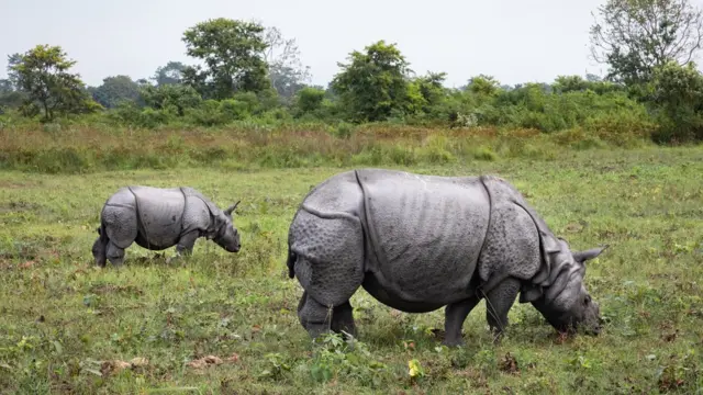 மனாஸ் தேசிய பூங்கா