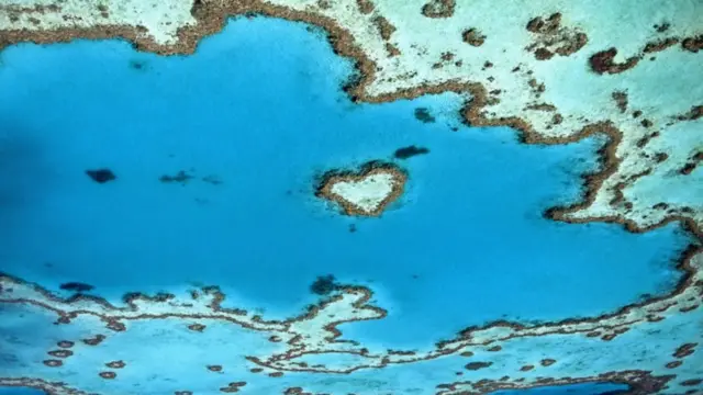 Великий Бар'єрний риф