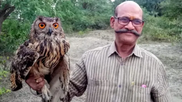 तस्करों से बरामद हुए दो में से एक उल्लू के साथ वन अधिकारी रामकृष्ण यादव